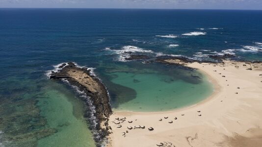 Cotillo Playa La Concha